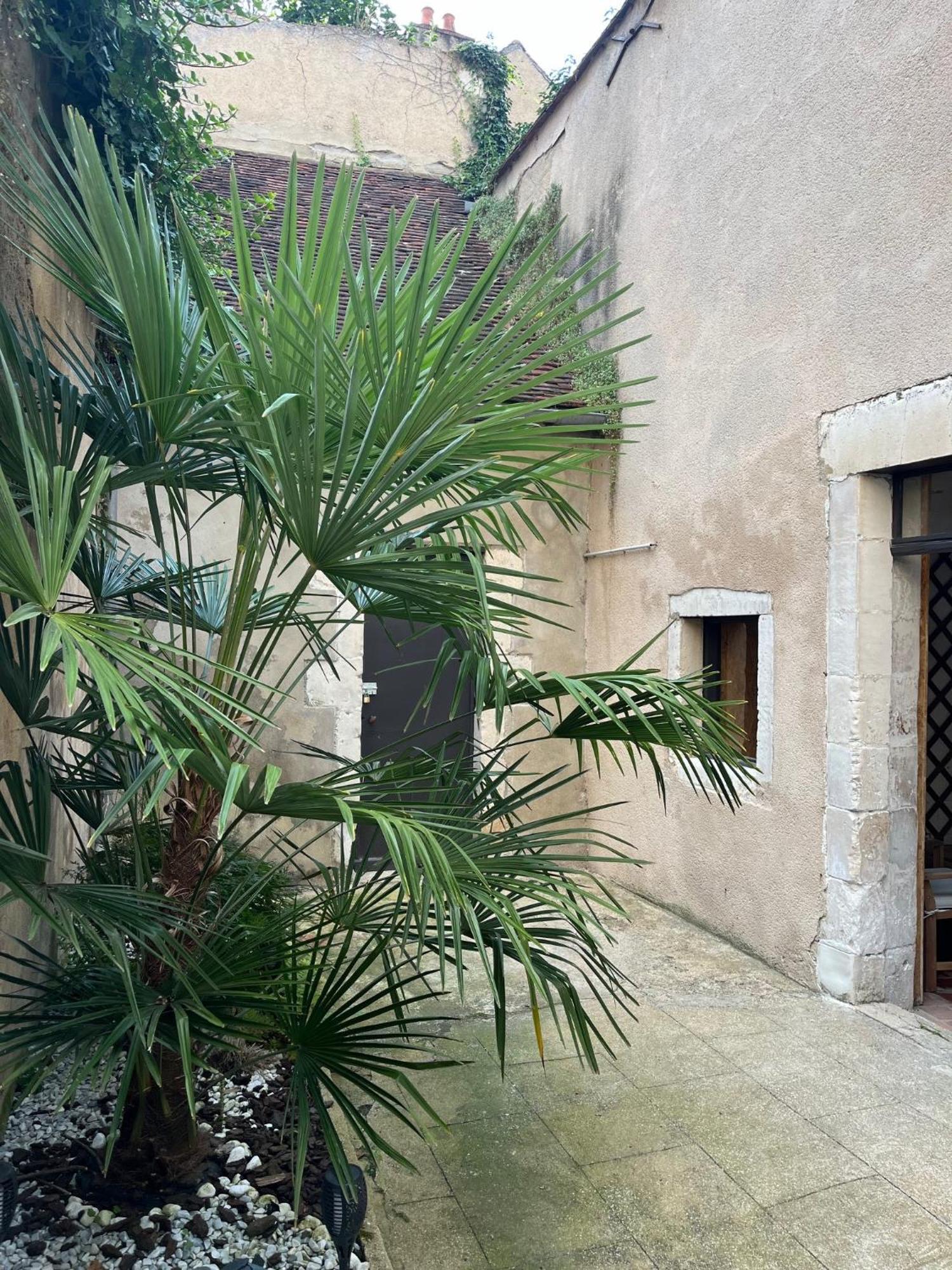 Cosy Appartement Hyper Centre Ville Avec Cour + Patio Auxerre Exterior photo